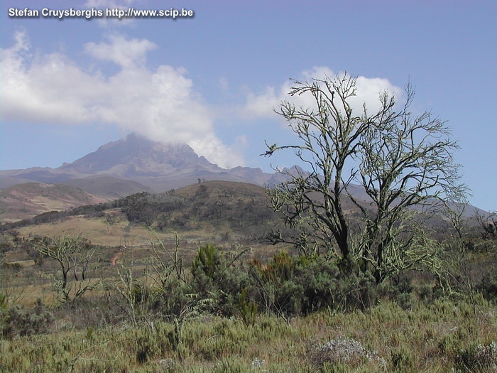 Kilimanjaro - Dag 2 De Kilimanjaro wordt ook wel eens het 'dak van Afrika' genoemd en deze met sneeuw bedekte top die boven de savannes uitsteekt, heeft dan ook een zekere aantrekkingskracht. De Kilimanjaro bestaat eigenlijk uit drie vulkanen; Shira, Mawenzi en Kibo. Het hoogste punt Uhuru ligt op de kraterrand van de Kibo.  Stefan Cruysberghs